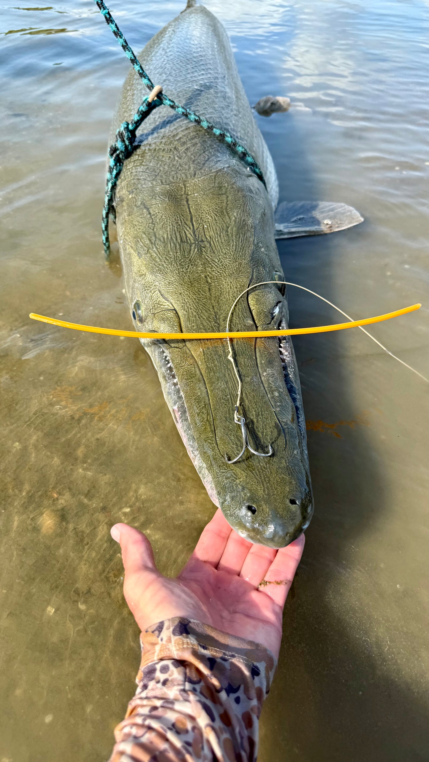 GarSaver Alligator Gar Rig